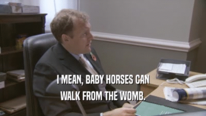 I MEAN, BABY HORSES CAN WALK FROM THE WOMB. 