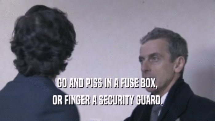 GO AND PISS IN A FUSE BOX, OR FINGER A SECURITY GUARD. 