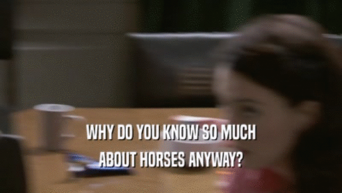 WHY DO YOU KNOW SO MUCH
 ABOUT HORSES ANYWAY?
 