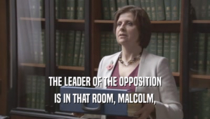 THE LEADER OF THE OPPOSITION IS IN THAT ROOM, MALCOLM, 