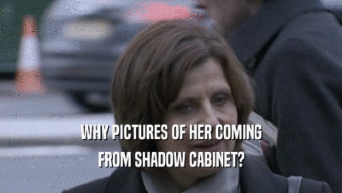 WHY PICTURES OF HER COMING
 FROM SHADOW CABINET?
 