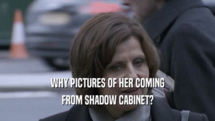 WHY PICTURES OF HER COMING FROM SHADOW CABINET? 