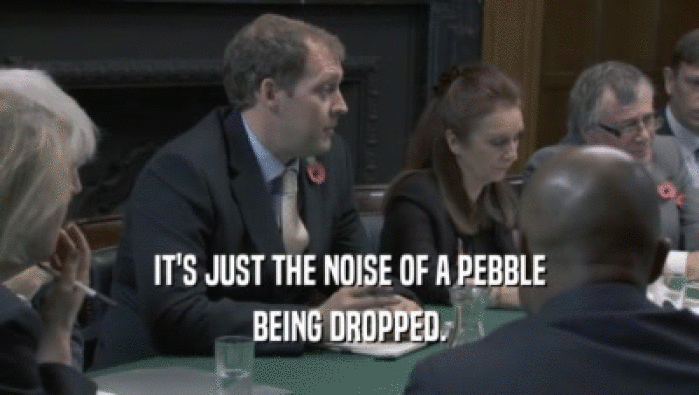 IT'S JUST THE NOISE OF A PEBBLE BEING DROPPED. 