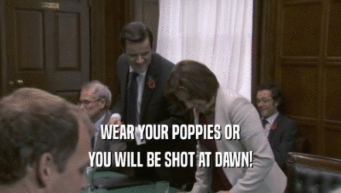 WEAR YOUR POPPIES OR
 YOU WILL BE SHOT AT DAWN!
 