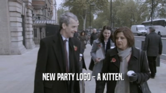 NEW PARTY LOGO - A KITTEN.  