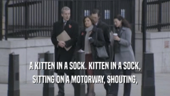 A KITTEN IN A SOCK. KITTEN IN A SOCK, SITTING ON A MOTORWAY, SHOUTING, 