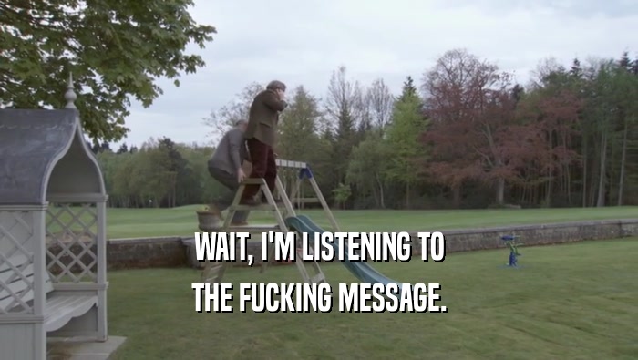 WAIT, I'M LISTENING TO THE FUCKING MESSAGE. 