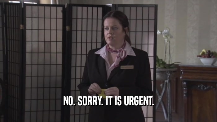 NO. SORRY. IT IS URGENT.  