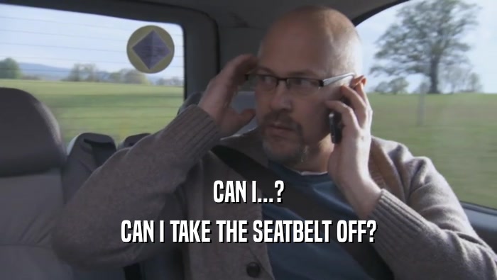CAN I...? CAN I TAKE THE SEATBELT OFF? 