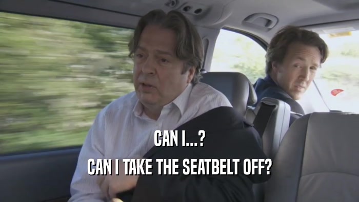 CAN I...? CAN I TAKE THE SEATBELT OFF? 