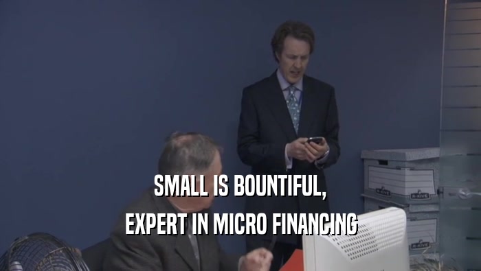 SMALL IS BOUNTIFUL, EXPERT IN MICRO FINANCING 