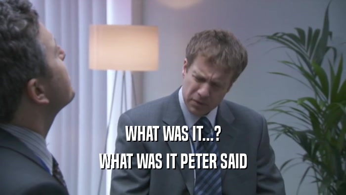 WHAT WAS IT...? WHAT WAS IT PETER SAID WHAT WAS IT PETER SAID