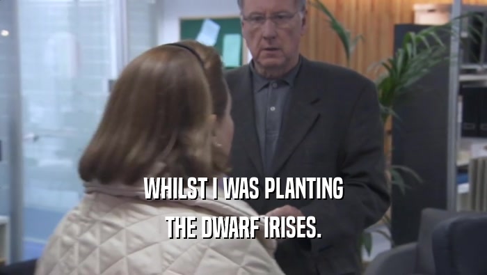 WHILST I WAS PLANTING THE DWARF IRISES. 