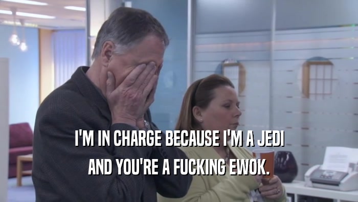 I'M IN CHARGE BECAUSE I'M A JEDI AND YOU'RE A FUCKING EWOK. 