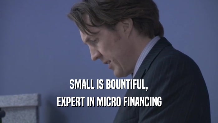 SMALL IS BOUNTIFUL, EXPERT IN MICRO FINANCING 