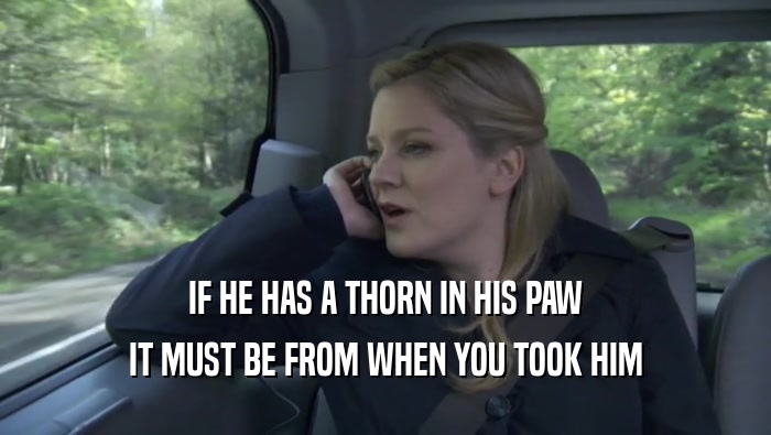 IF HE HAS A THORN IN HIS PAW IT MUST BE FROM WHEN YOU TOOK HIM IT MUST BE FROM WHEN YOU TOOK HIM
