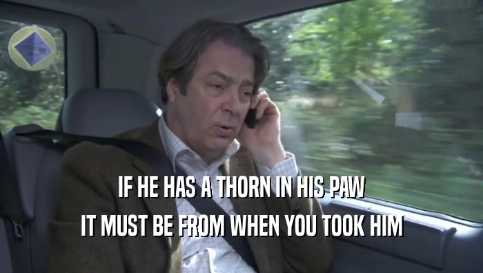 IF HE HAS A THORN IN HIS PAW IT MUST BE FROM WHEN YOU TOOK HIM IT MUST BE FROM WHEN YOU TOOK HIM