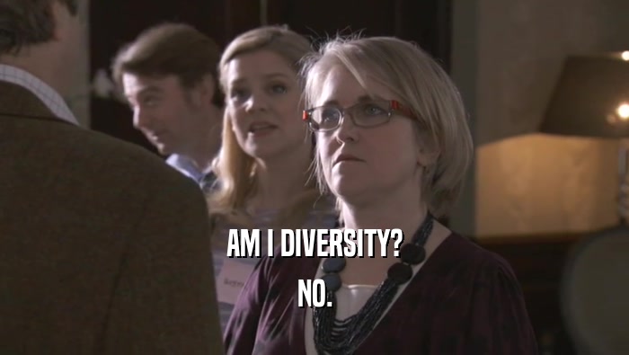 AM I DIVERSITY? NO. 