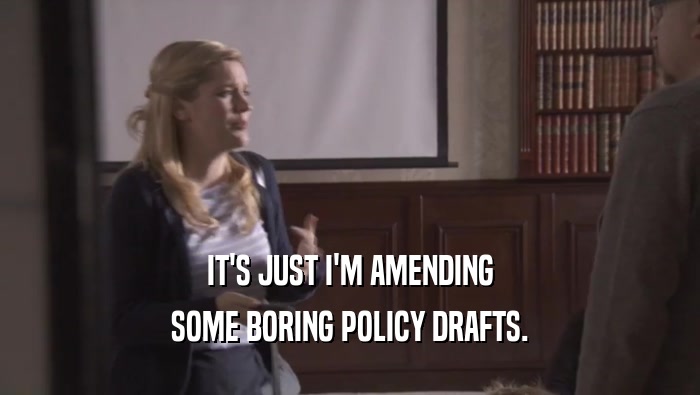 IT'S JUST I'M AMENDING SOME BORING POLICY DRAFTS. 