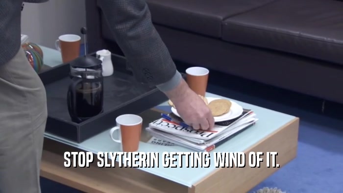 STOP SLYTHERIN GETTING WIND OF IT.  