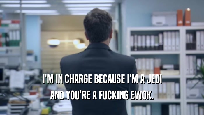 I'M IN CHARGE BECAUSE I'M A JEDI AND YOU'RE A FUCKING EWOK. 