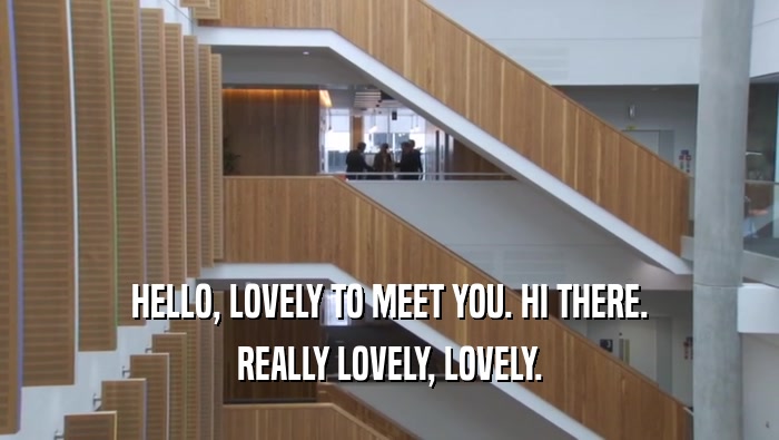 HELLO, LOVELY TO MEET YOU. HI THERE. REALLY LOVELY, LOVELY. 