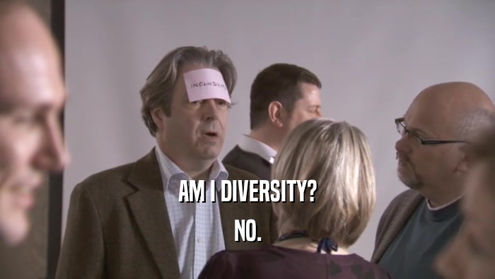 AM I DIVERSITY? NO. 