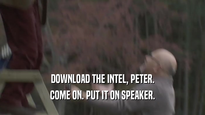 DOWNLOAD THE INTEL, PETER. COME ON. PUT IT ON SPEAKER. 
