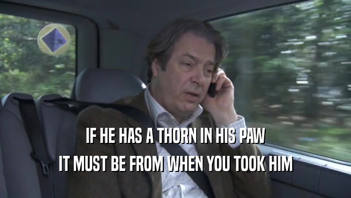 IF HE HAS A THORN IN HIS PAW IT MUST BE FROM WHEN YOU TOOK HIM IT MUST BE FROM WHEN YOU TOOK HIM
