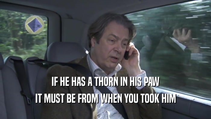 IF HE HAS A THORN IN HIS PAW IT MUST BE FROM WHEN YOU TOOK HIM IT MUST BE FROM WHEN YOU TOOK HIM