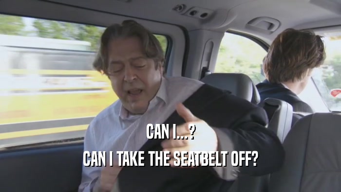 CAN I...? CAN I TAKE THE SEATBELT OFF? 