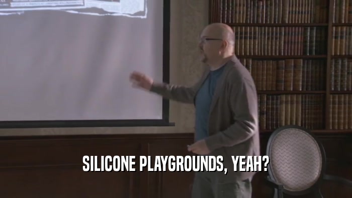 SILICONE PLAYGROUNDS, YEAH?  