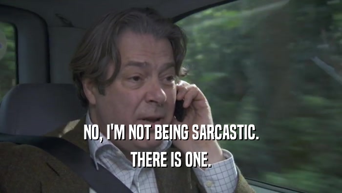 NO, I'M NOT BEING SARCASTIC. THERE IS ONE. 