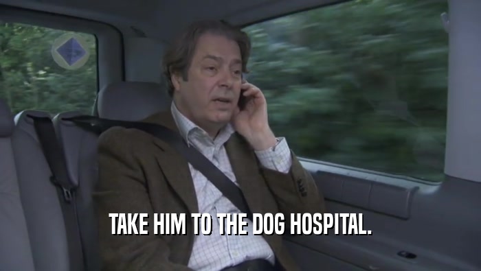 TAKE HIM TO THE DOG HOSPITAL.
  