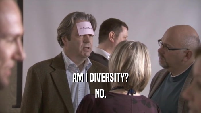 AM I DIVERSITY? NO. 
