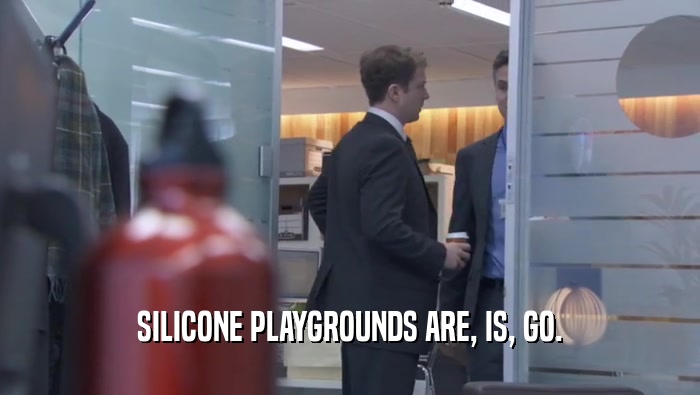 SILICONE PLAYGROUNDS ARE, IS, GO.  