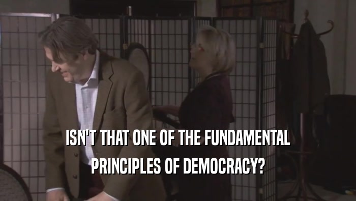 ISN'T THAT ONE OF THE FUNDAMENTAL PRINCIPLES OF DEMOCRACY? 