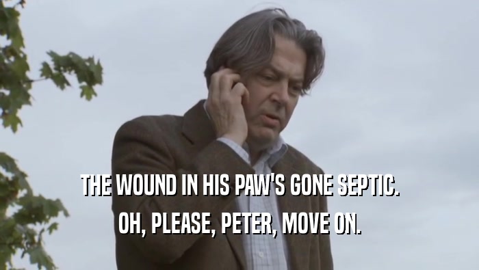 THE WOUND IN HIS PAW'S GONE SEPTIC. OH, PLEASE, PETER, MOVE ON. 