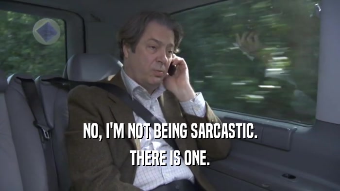 NO, I'M NOT BEING SARCASTIC. THERE IS ONE. 