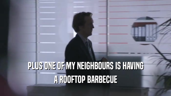 PLUS ONE OF MY NEIGHBOURS IS HAVING A ROOFTOP BARBECUE 