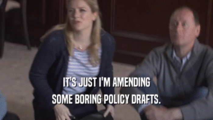 IT'S JUST I'M AMENDING SOME BORING POLICY DRAFTS. 