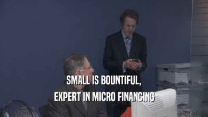 SMALL IS BOUNTIFUL, EXPERT IN MICRO FINANCING 
