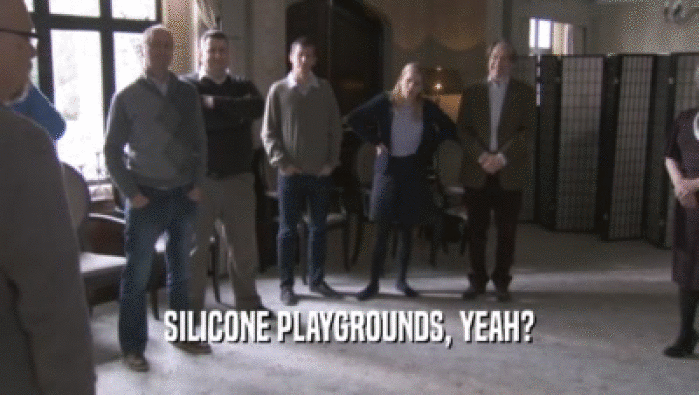 SILICONE PLAYGROUNDS, YEAH?
  