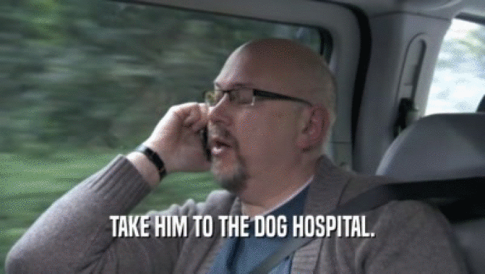 TAKE HIM TO THE DOG HOSPITAL.
  