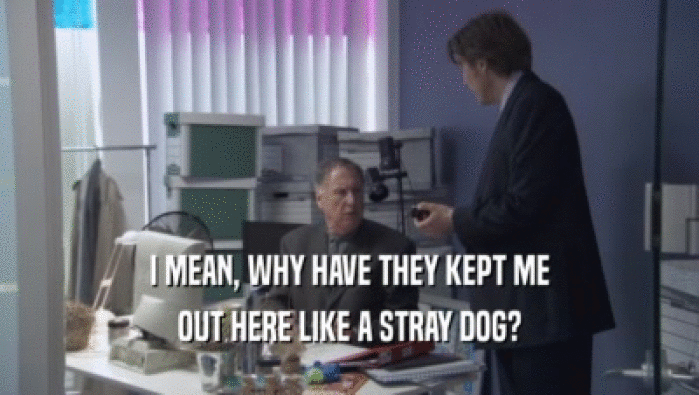I MEAN, WHY HAVE THEY KEPT ME OUT HERE LIKE A STRAY DOG? 