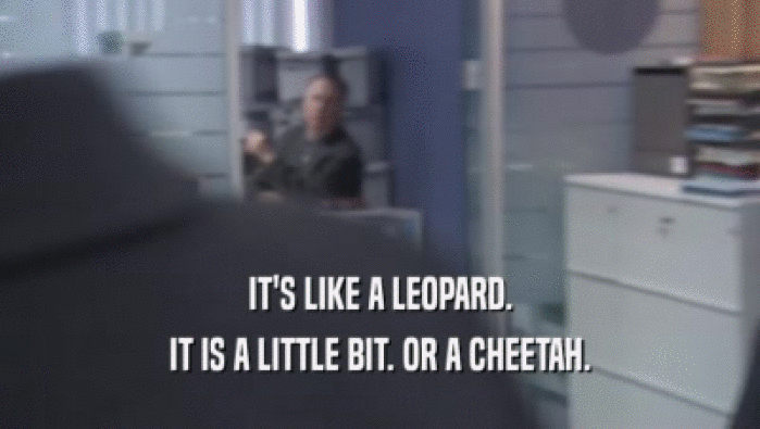 IT'S LIKE A LEOPARD. IT IS A LITTLE BIT. OR A CHEETAH. 