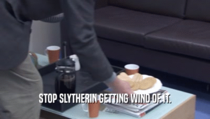 STOP SLYTHERIN GETTING WIND OF IT.  