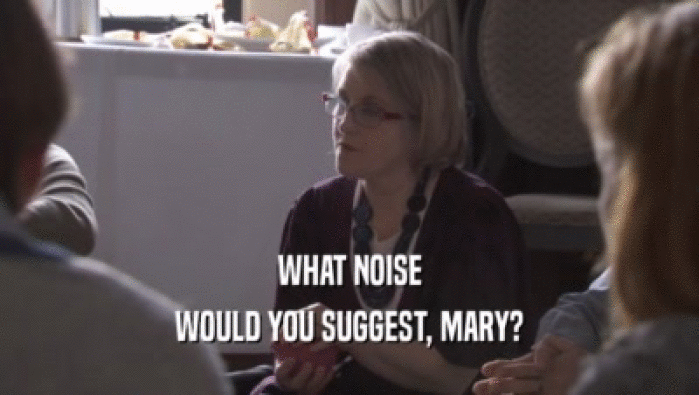 WHAT NOISE
 WOULD YOU SUGGEST, MARY?
 