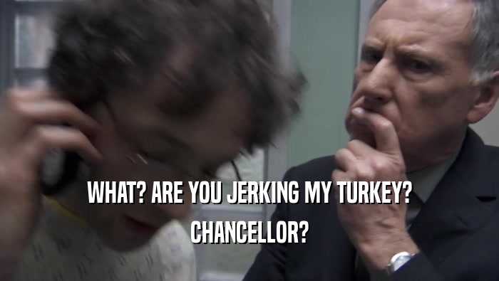 WHAT? ARE YOU JERKING MY TURKEY? CHANCELLOR? 