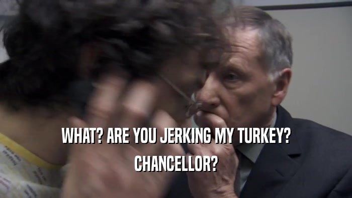 WHAT? ARE YOU JERKING MY TURKEY? CHANCELLOR? 
